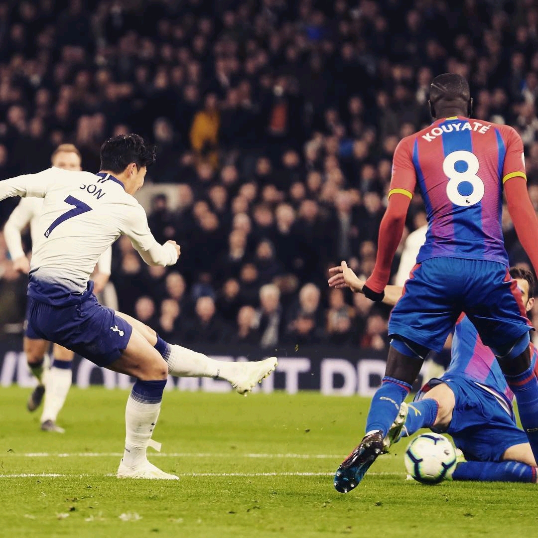 势必会采用 势必会采用