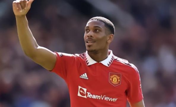 弹和升班马 弹和升班马